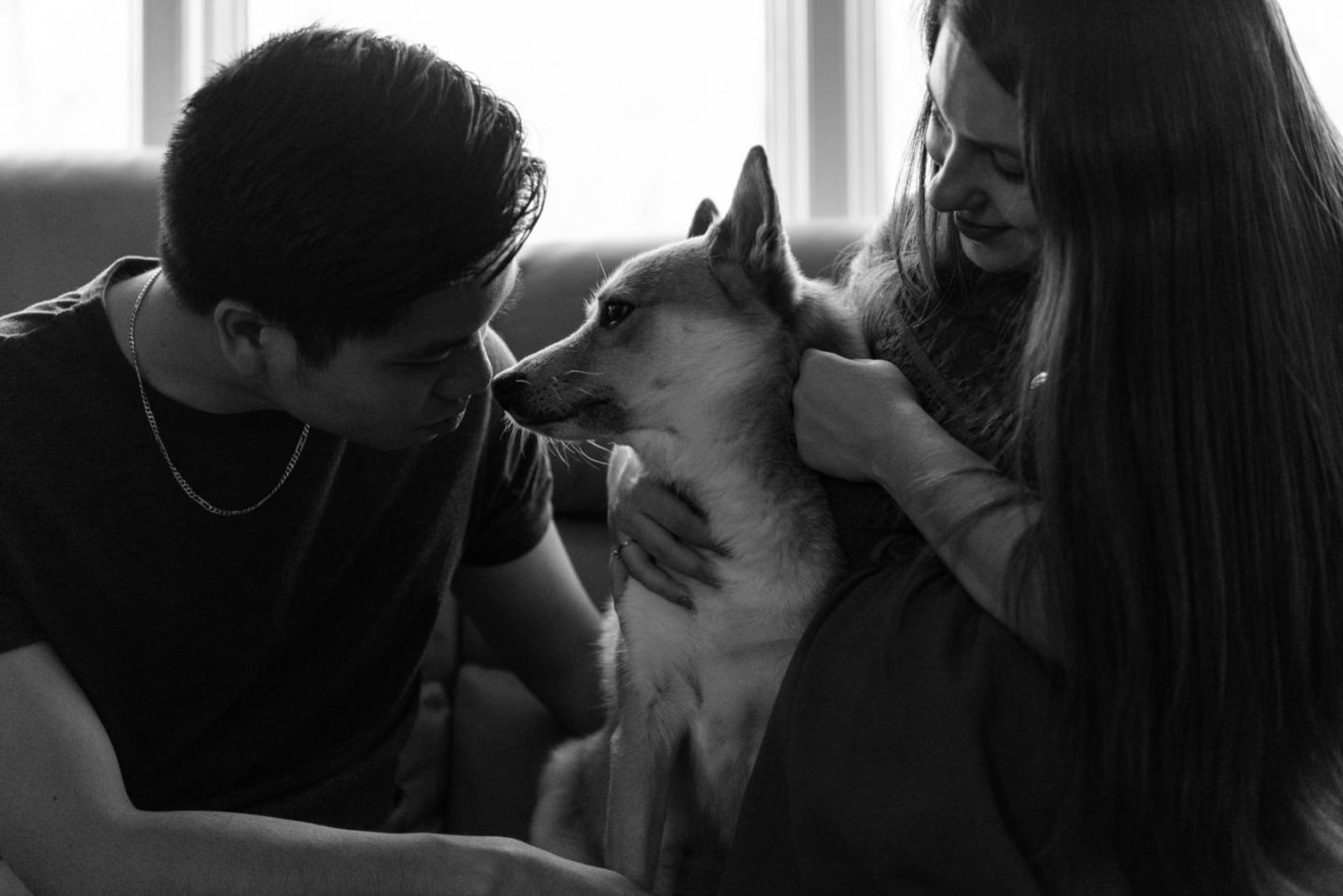 maternity photoshoot with pets