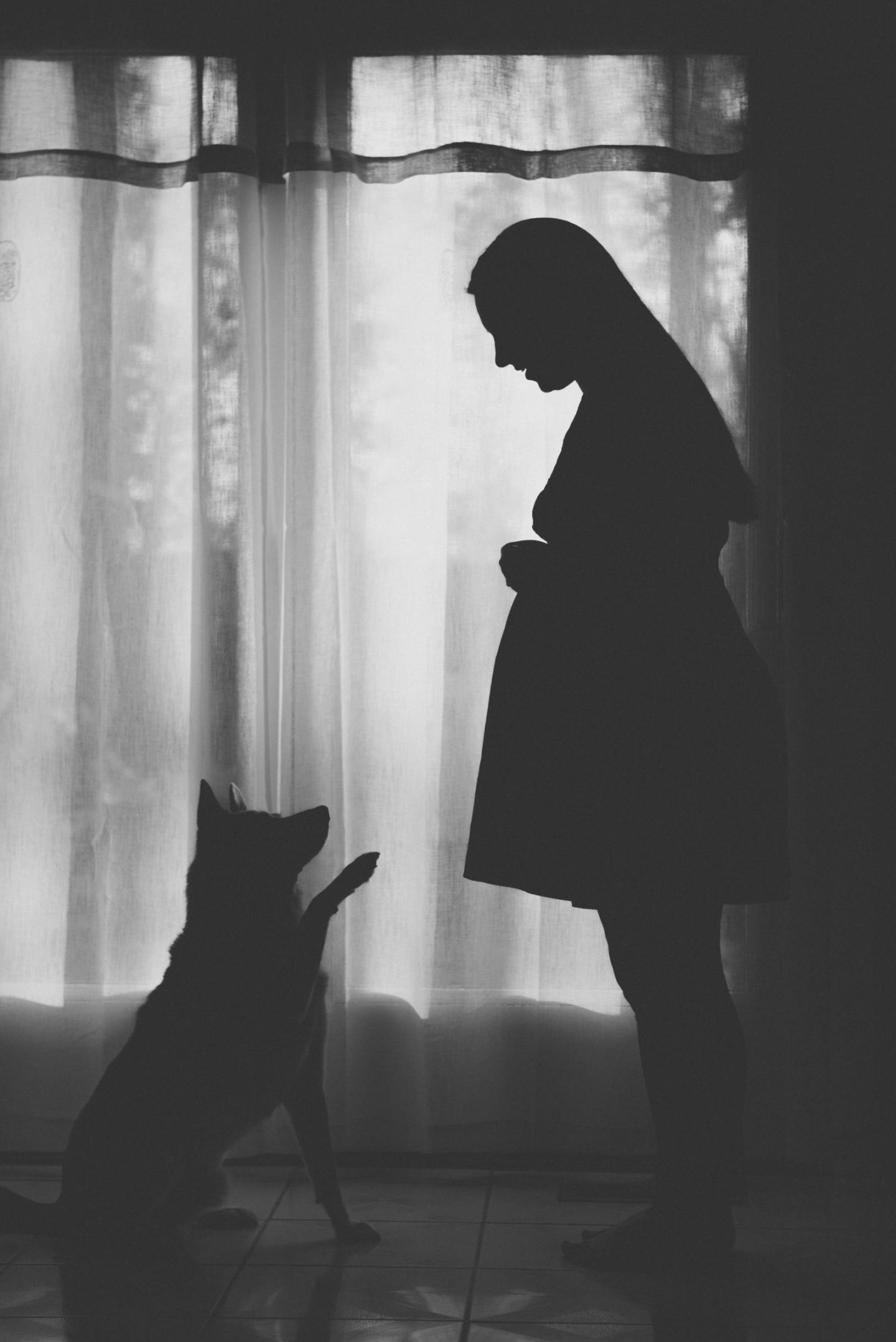 silhouette maternity photoshoot