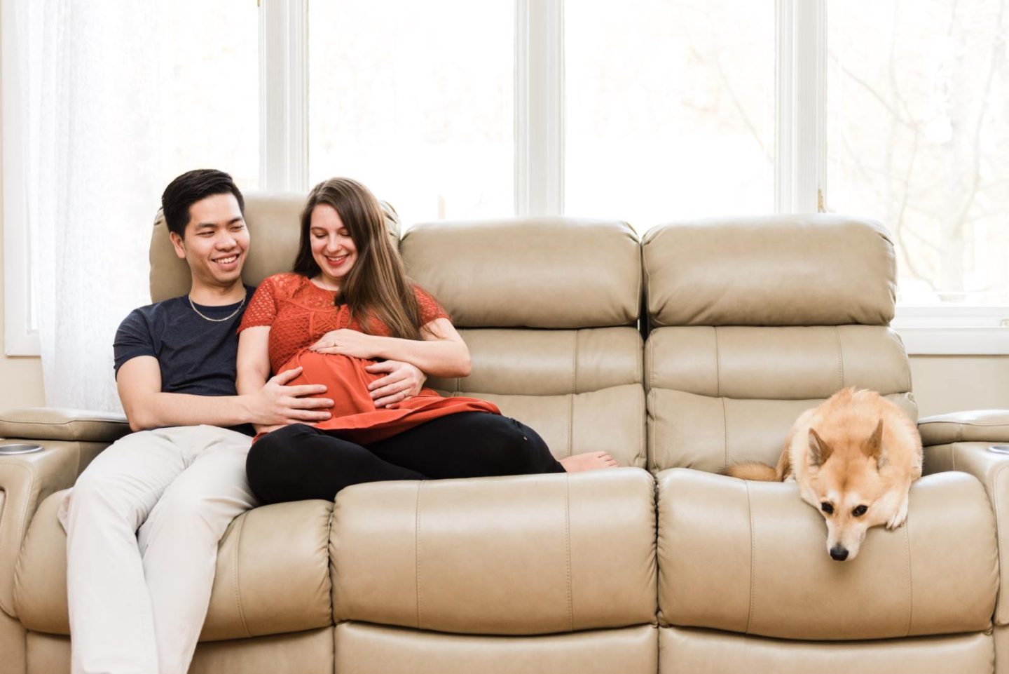 maternity photoshoot with pets