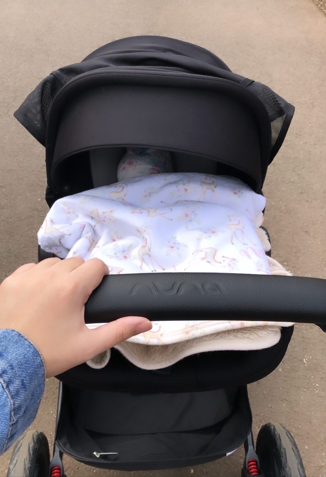 walking with baby stroller